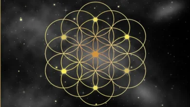 flower of life