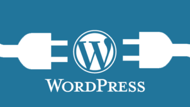 plugin wordpress suivre performance page blog​