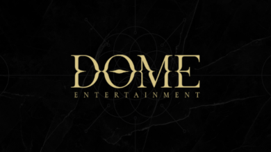 dome entertainment private limited