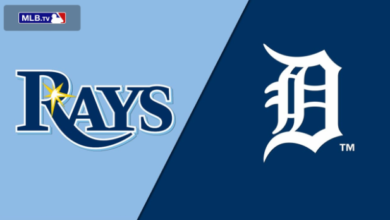 tampa bay rays vs detroit tigers match player stats​