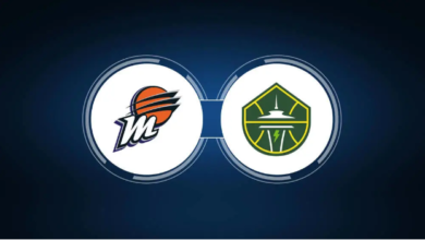 seattle storm vs phoenix mercury match player stats​